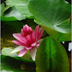 DSC04672.jpg