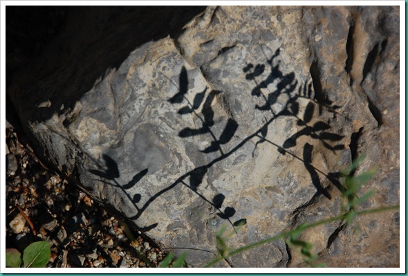 Rock shadows