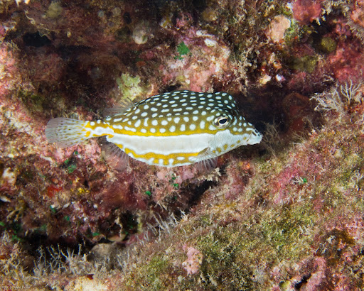 P6093877