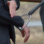 IMGP0273.JPG