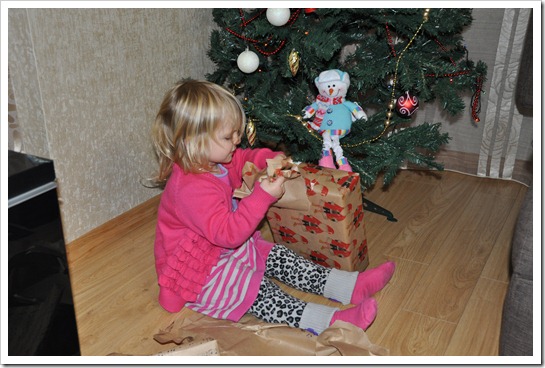 Better Christmas 2012 027