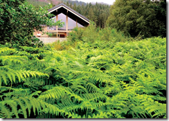 Stay in the Heart of the Countryside