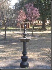 savannahcemetary savannahcemetary