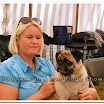 Pedigree Dogs 003.jpg
