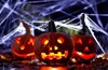 [homemade-cobweb-decoration0-1%255B4%255D.jpg]