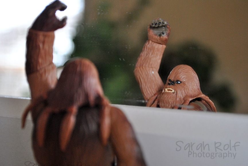 [chewbacca-high-fiving-himse%255B3%255D.jpg]