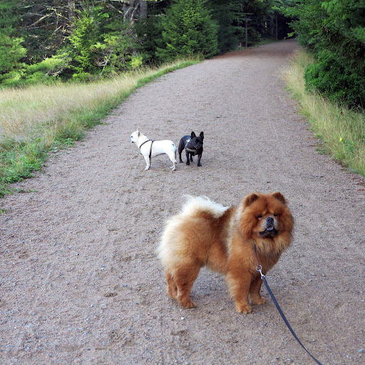 Come on, girls!  It's a beautiful day for a hike around Little Long Pond!
