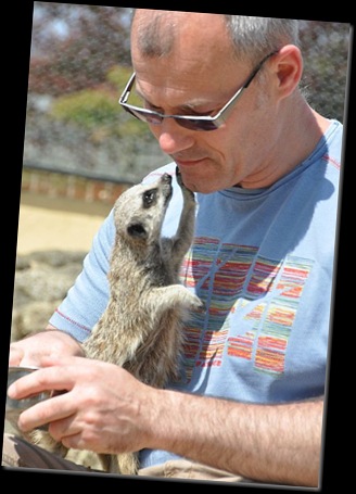 Meerkat gazing into Steve's eyes! DSC_1072 Meerkat gazing into Steve's eyes! DSC_1072