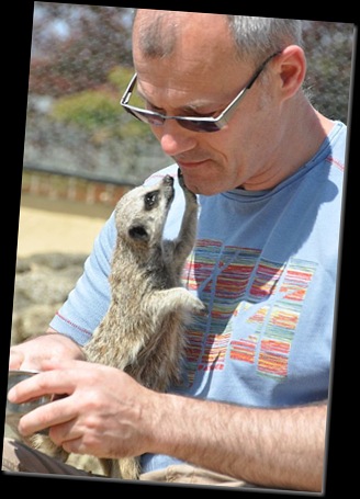 Meerkat gazing into Steve's eyes! DSC_1072