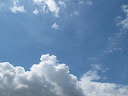 IMG_4501.JPG