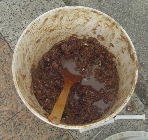[DSC02217%255B5%255D.jpg]
