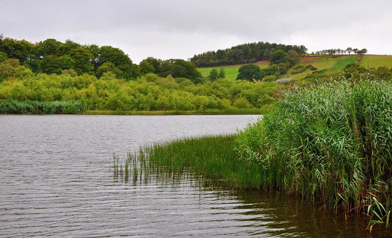 [Shelve%2520Pool%255B3%255D.jpg]