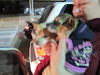But then our adventure came to a close.  It was a teary goodbye at the airport.  Minnow and her new friend Boots promised to stay in touch and be pen pals!