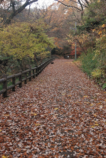 平原の滝遊歩道