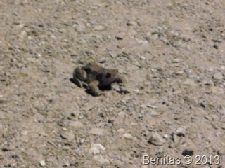 [2013-05-12%252023.07.52%255B7%255D.jpg]