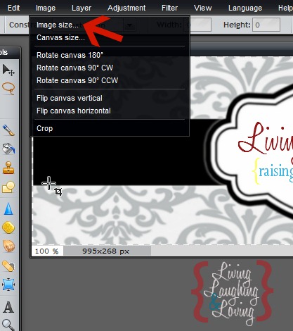 [pixlr%2520image%2520size%25202%255B3%255D.jpg]