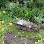 20100815_057_small.JPG