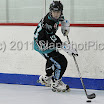 BIPNATS2011-12G20_0032.JPG