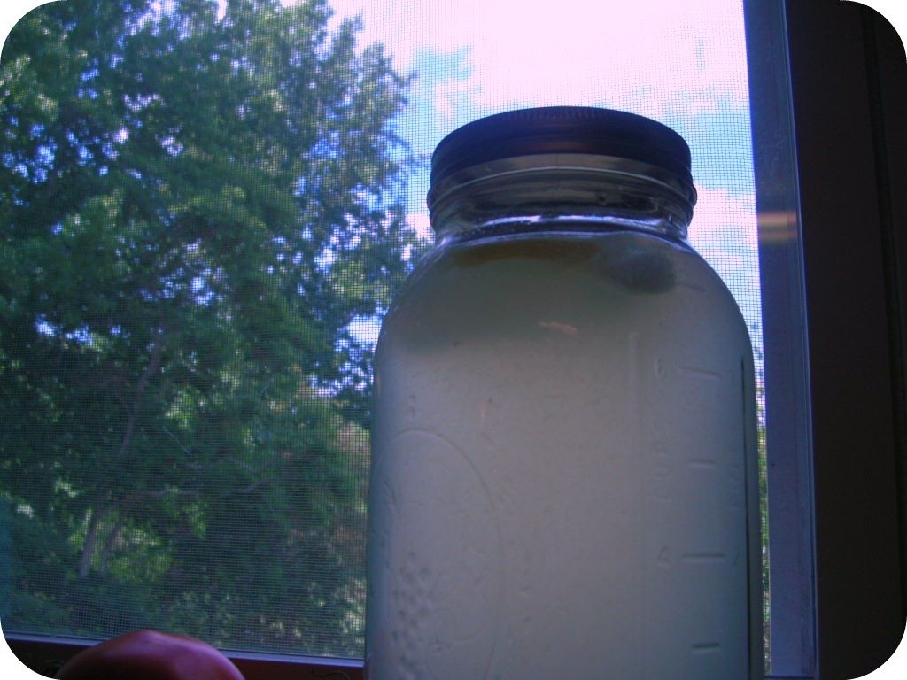 [Lemonade%2520in%2520Window%255B3%255D.jpg]