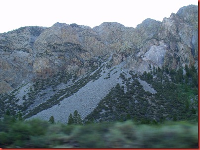 mammoth2011 024