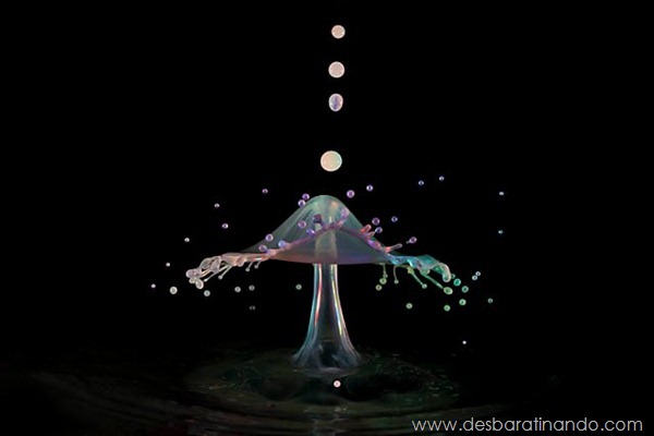 liquid-drop-art-gotas-caindo-foto-velocidade-hora-certa-desbaratinando (164) liquid-drop-art-gotas-caindo-foto-velocidade-hora-certa-desbaratinando (164)