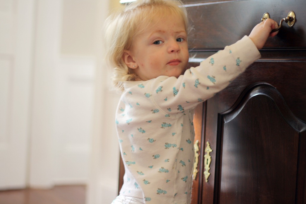 [cape%2520cod%25202012-124%255B4%255D.jpg]