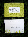 And both sides of the RSVP card. And both sides of the RSVP card.