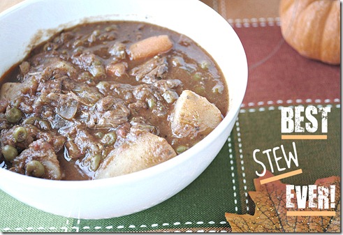 stew2
