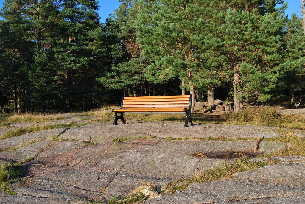 [Tur%2520i%2520skogen%2520sept%252011%2520082%255B6%255D.jpg]