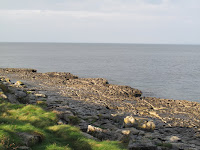 IMG_2739.JPG Photo