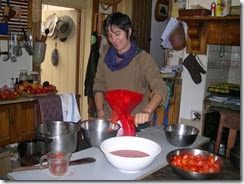 preserving tomatoes