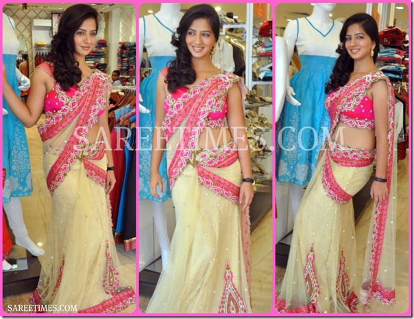 Nisha_Shah_in_Shimmer_Saree