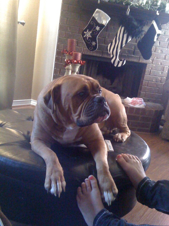 [IMG_0654%255B3%255D.jpg]