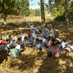 ALIM0670.JPG