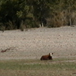 View album
