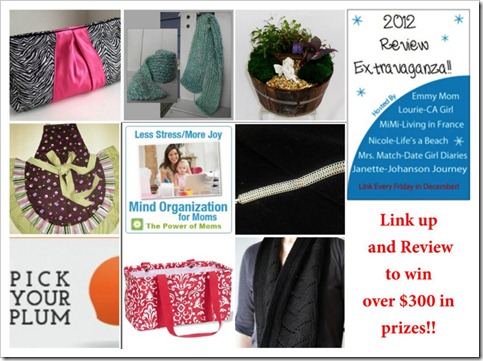 Review Extravaganza Prizes-Johanson Journey