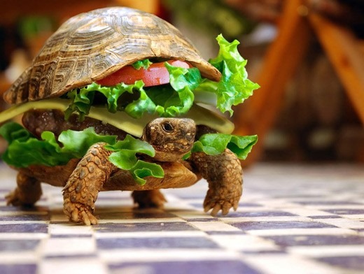 [adf61af6bf17e13d368bb0c47452b4f7.0%255B5%255D.jpg]