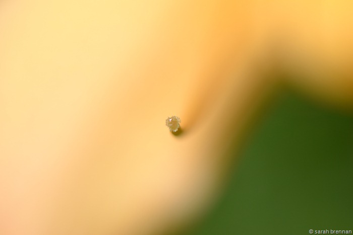 [DSC_0408%2520%25284%2529%255B9%255D.jpg]