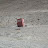 DSC00199.JPG