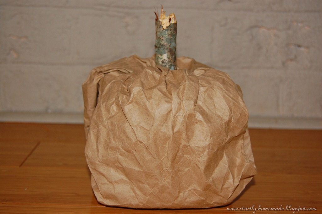 [DSC_2064%255B4%255D.jpg]