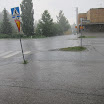 IMG_1195.JPG