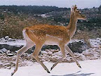 p1238559458(17).jpg