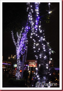 IMG_4423 IMG_4423