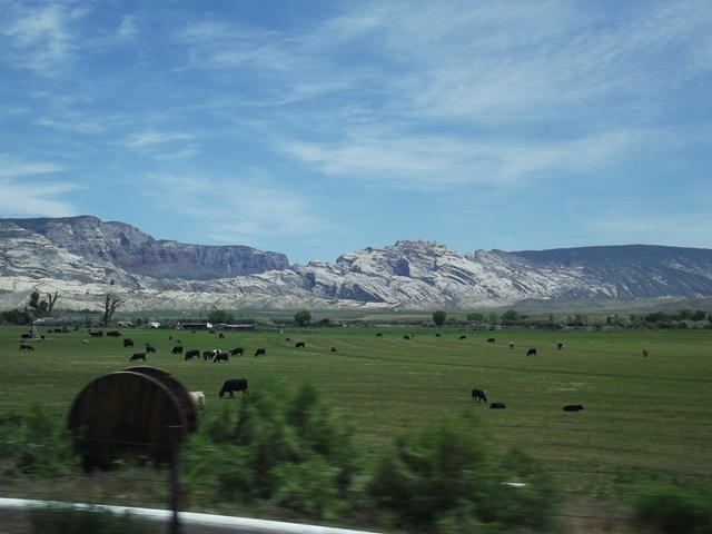 [DSCF20712.jpg]