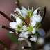 20100314_008