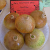 Onions.jpg