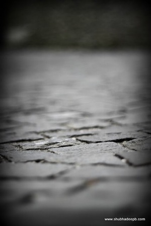 IMG_7075