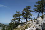 DSC03321.JPG