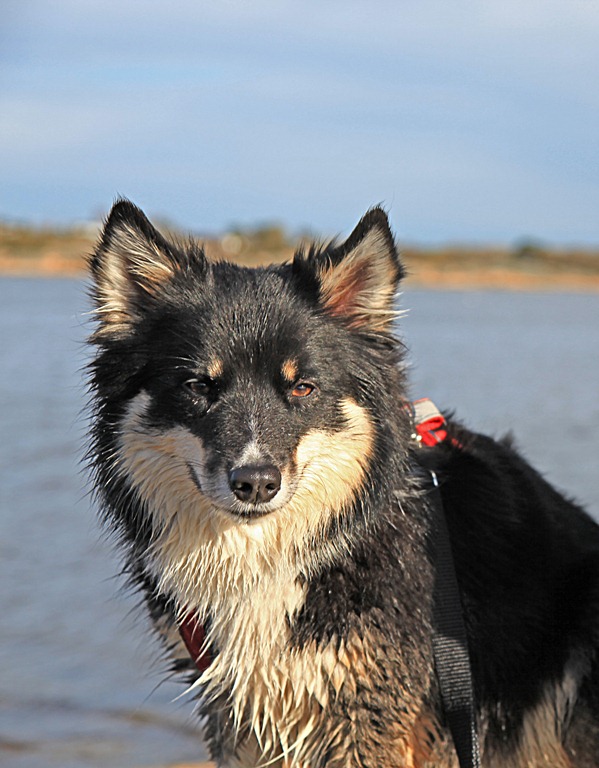 [28apr2012_Jentene%2520p%25C3%25A5%2520Pernestangen_9885%255B5%255D.jpg]