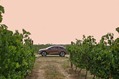 Lada Xray 19 Lada Xray 19
